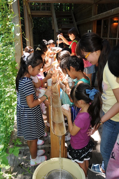 サマースクール 流しそうめん きっこ英会話 きっこイングリッシュスクール